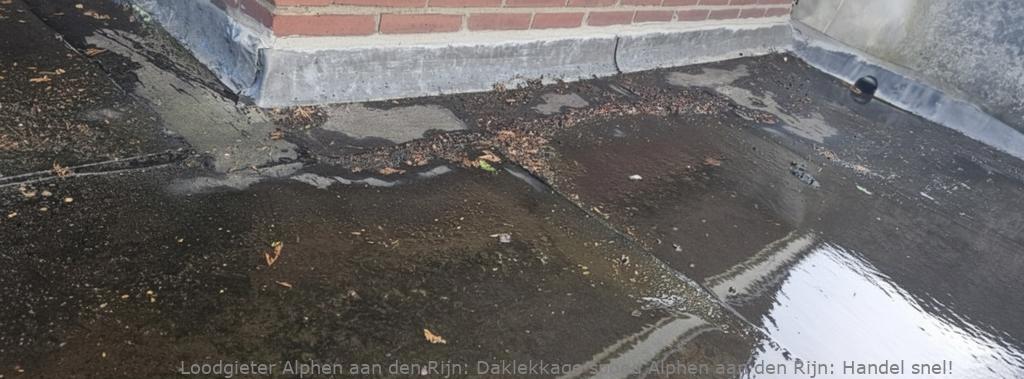 Daklekkage Spoed Alphen Aan Den Rijn