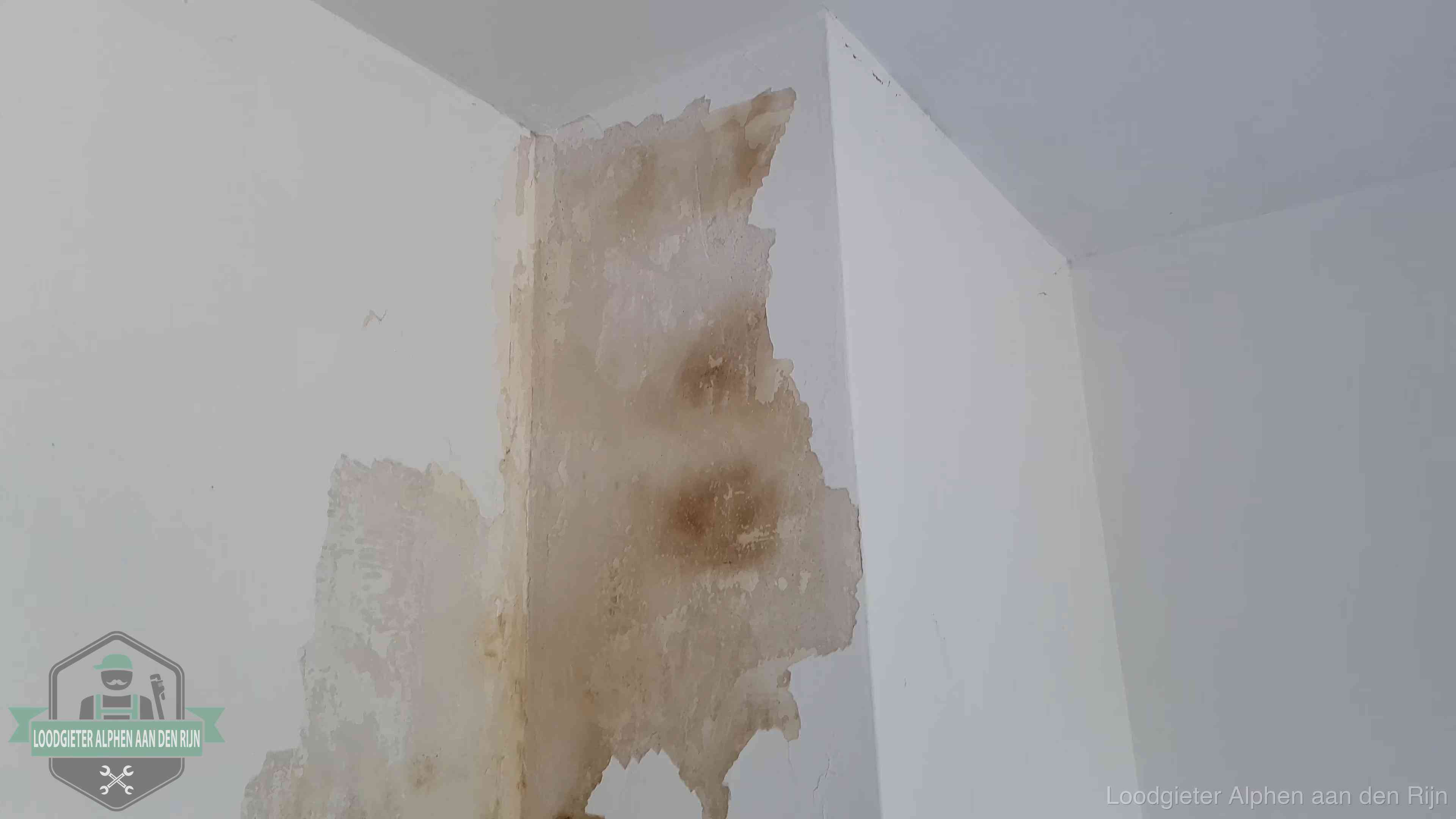Daklekkage herkennen in Alphen aan den Rijn Bruine vochtkringen en afbladderend stucwerk op een binnenmuur in Alphen aan den Rijn, een eerste teken van daklekkage
