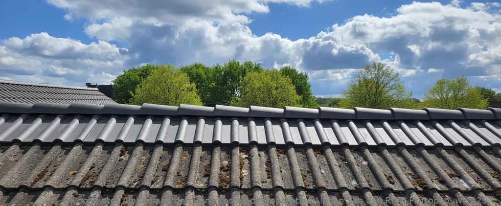 Kosten Dakreparaties Alphen Aan Den Rijn