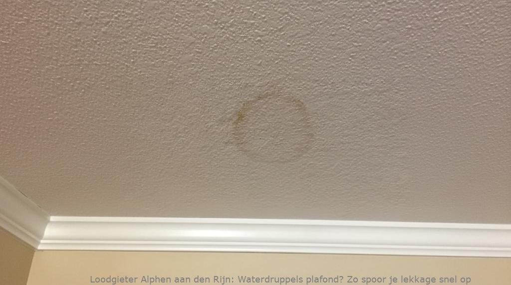 Lekkage Plafond Alphen Aan Den Rijn