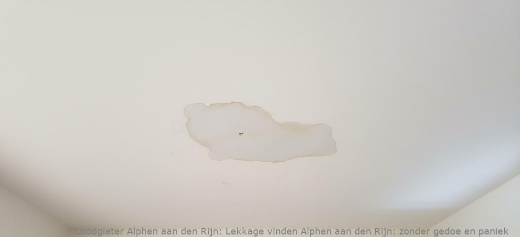 Lekkage Vinden Alphen Aan Den Rijn