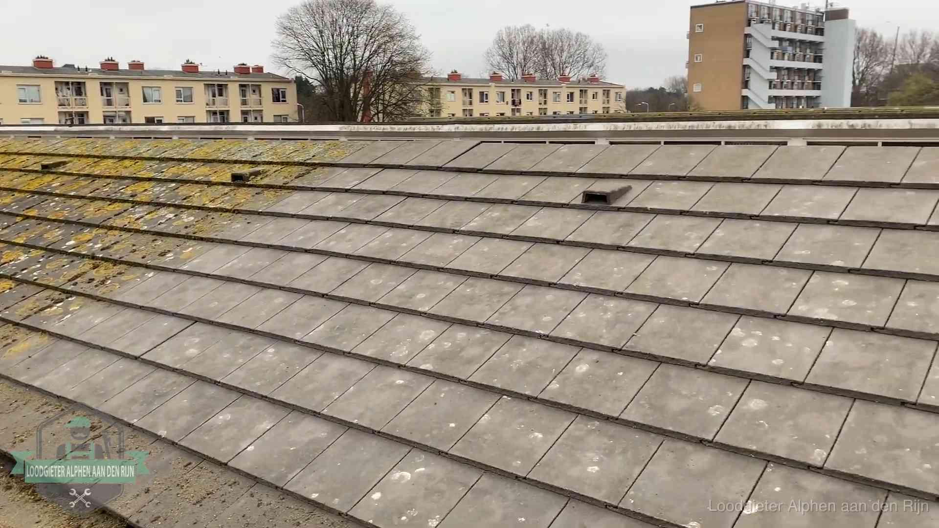 Dakpannen op een schuin dak in Alphen aan den Rijn Schuin dak met betonpannen vol mos in Alphen aan den Rijn, een risico op lekkage bij de pannen