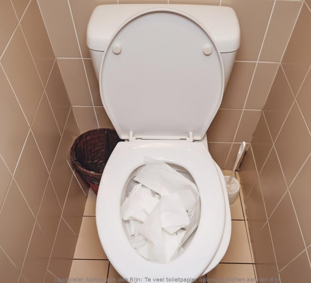 Te Veel Toiletpapier Oplossing Alphen Aan Den Rijn
