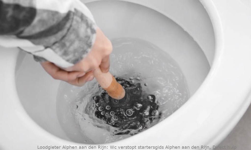 Wc Verstopt Startersgids Alphen Aan Den Rijn